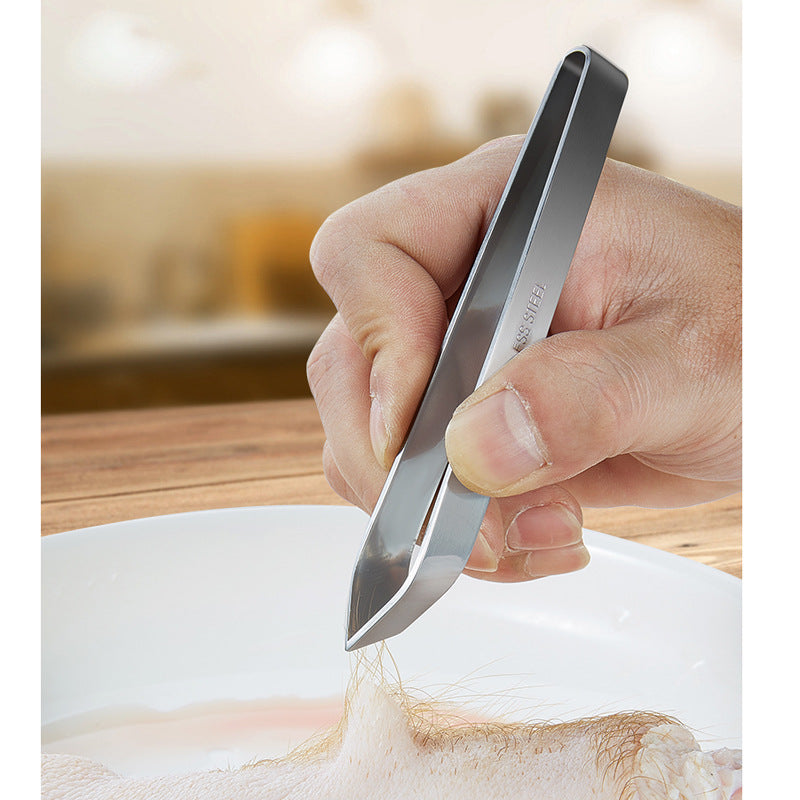 Quick Fish Scale Remover