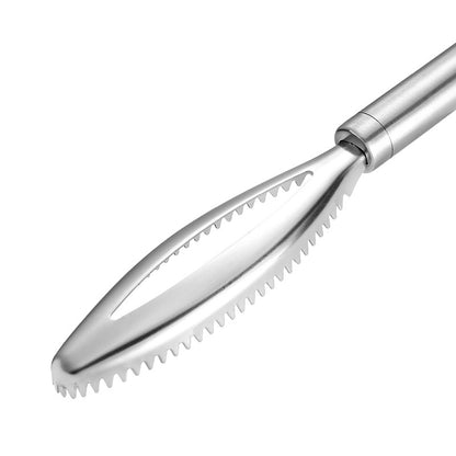 Quick Fish Scale Remover
