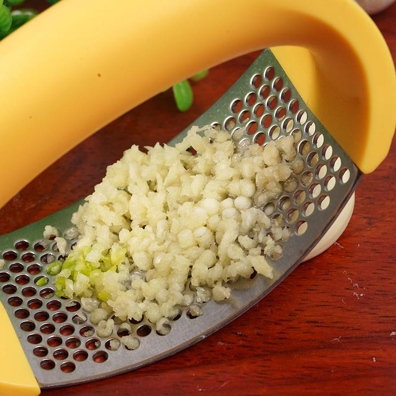 Stainless Steel Garlic Press Crusher