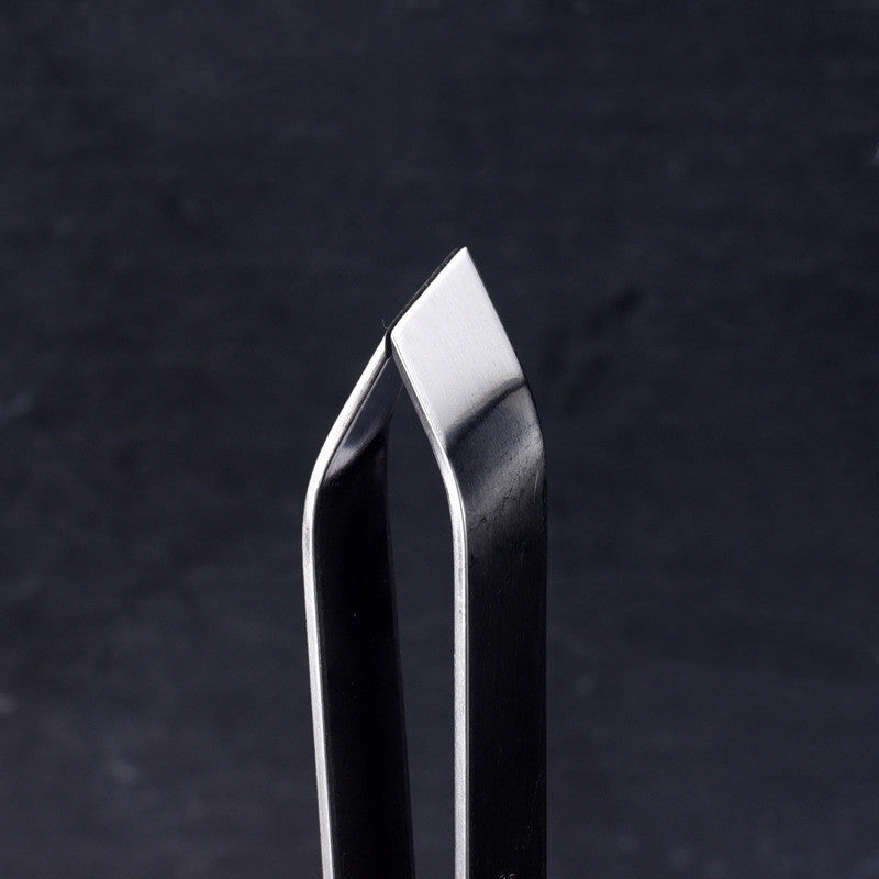 Quick Fish Scale Remover
