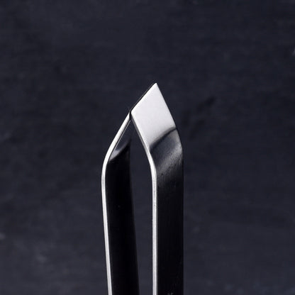 Quick Fish Scale Remover