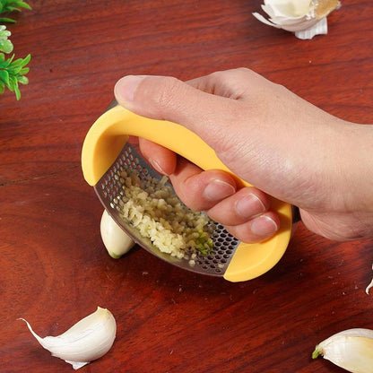 Stainless Steel Garlic Press Crusher